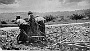 1917 donne venete al lavoro